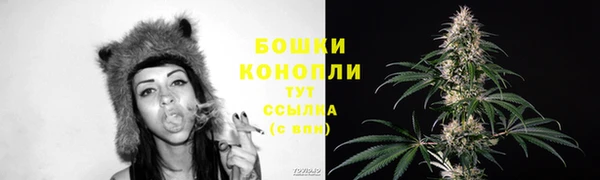 ПСИЛОЦИБИНОВЫЕ ГРИБЫ Абдулино