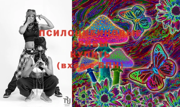 дурь Абинск