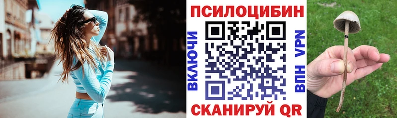 Галлюциногенные грибы Magic Shrooms  Арсеньев 