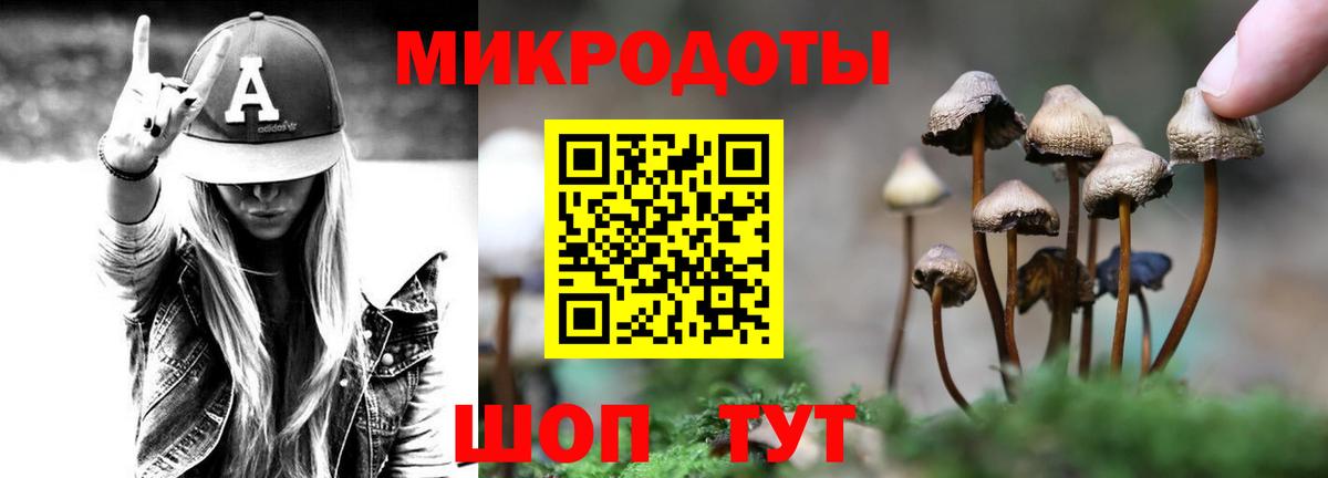 где купить наркотик  Галлюциногенные грибы мухоморы  Арсеньев  Вход с VPN  Галлюциногенные грибы мицелий 